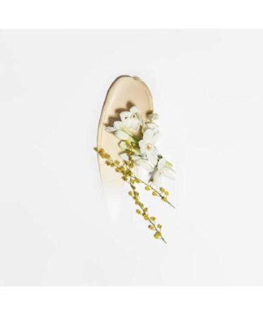 Chantecaille Gold Recovery Mask 1.7 oz | Luxury Skincare for Global Shipping - Buy Online on GoSupps.com