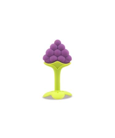 Soft Silicone Fruit-Shaped Baby Teething Toys - Grapes Strawberry & Orange - 3PCs for Infants & Toddlers - Pain Relief Chew Card Multicolor - Buy Online on GoSupps.com