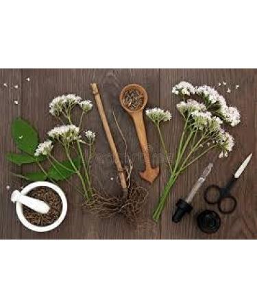 Premium Valerian Root Powder 1lb | Fresh Valeriana Officinalis Herb | The Bloomin Herb Shoppe - Buy Online on GoSupps.com