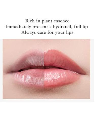 Prreal 6 PCS Fruity Lip Gloss - Moisturizing Transparent Lip Oil for Plumper Lips | Ideal Lip Care Solution - Buy Online on GoSupps.com