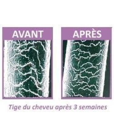  Institut CLAUDE BELL Tonus Anti-Aging Shampoo - Buy Online on GoSupps.com