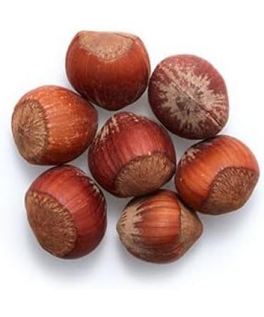 Yupik Hazelnuts In Shell 1 kg Gluten-Free Kosher Vegan Filberts Natural Raw Nuts Whole Nuts Unsalted Unroasted Oil-Free Nutritious Snack Once Shelled Hazelnuts 1 kg (Pack of 1) - Buy Online on GoSupps.com