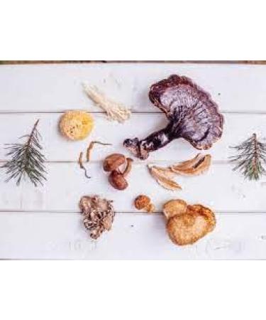 Our mega-23 Mushroom blend . We have it all!