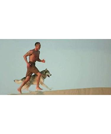 500g MSM Pure Sulphur by Patrick McGean - Sulphur Study Approved - Buy Online on GoSupps.com