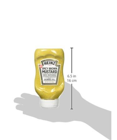Heinz Spicy Brown Mustard 14 oz Bottles - Pack of 6 | Premium Condiment - Buy Online on GoSupps.com