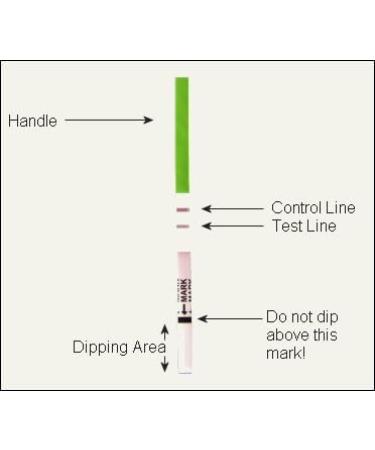 BabyMad Basal Thermometer (HOT Pink) + 10 Ovulation Tests - Centigrade Body Temperature Ovulation Test Kit with Flexible Tip + Free BBT Fertility Chart - Buy Online on GoSupps.com