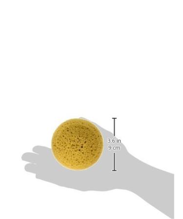 Hydra Sponge 074152 Honeycomb Tack Sponge Small - Buy Online on GoSupps.com