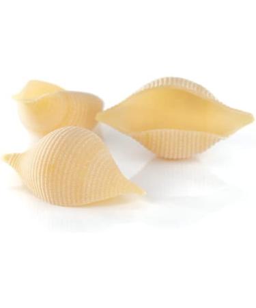 Italian Gourmet E.R. Il Vecchio Pastificio di Gragnano Pasta Conchiglioni Gragnano Durum Wheat Semolina Pasta 500g + 400g Box of 3 - Buy Online on GoSupps.com