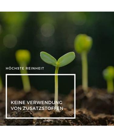 Buy Ingenious Nature Bio Maca Powder 1000g - 100% Pure Red Maca Root from Peru - Raw Superfood High Altitude Grown - Buy Online on GoSupps.com