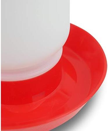 Quailzz Bird and Quail Bath 1L - Red | Premium Bird Care for Happy Quails - Free International Shipping - Buy Online on GoSupps.com