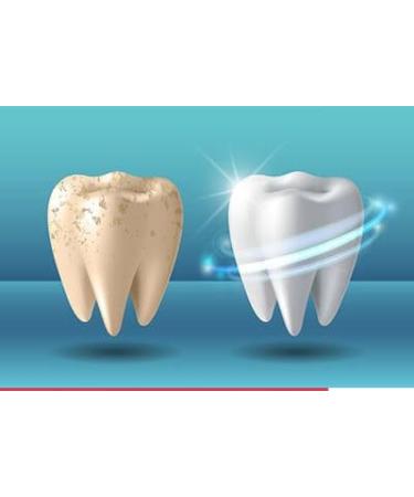 Luis Bien - Activated Charcoal Teeth Whitening & Care Kit - Bright Smile & Fresh Breath - Powder Toothpaste and Bamboo Toothbrush - 50g/75ml - Buy Online on GoSupps.com