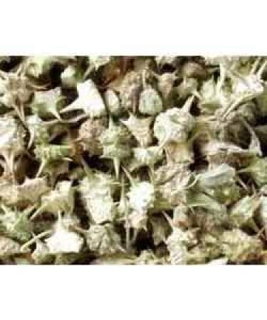 Krishna SAARA : Nerunji Mull/Gokhru/Nerinjil/Cinnapalleru/Neggilu Mullu Raw 200g (Pack of 100g x 2)