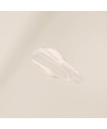 Aoklabs- Black Night Night cream for the face with anti-aging and firming effect fast-absorbing texture 50ml. - Buy Online on GoSupps.com