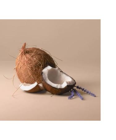 Being Frenshe - Hair Body & Linen Mist Body Spray with Essential Oils - Cashmere Vanilla - 5 fl oz - Buy Online on GoSupps.com