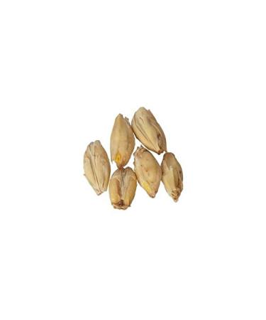 Brewmaster GR300FM Malt - 2-Row Pale - 10 lb Milled