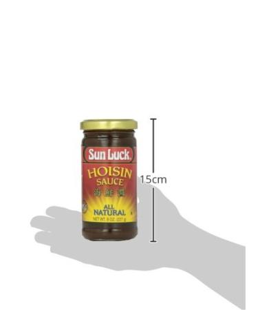 Sun Luck Traditional Hoisin Sauce  8 oz - Buy Online on GoSupps.com