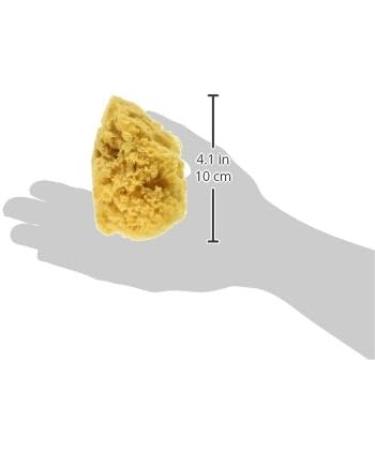 Natural Ocean Artist Sponges - 3 Silk/1 Jumbo - 4/pkg | Original Version - Buy Online on GoSupps.com