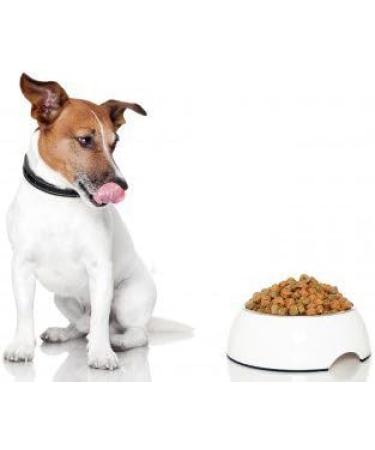 Barker and Barker Tasty Topper - Liver Food Topper for Dogs - 500g pot - Buy Online on GoSupps.com
