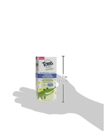 Tom's of Maine Toddlers Fluoride-Free Natural Toothpaste in Mild Fruit Gel  1.75 Ounce (Pack of 6) - Buy Online on GoSupps.com
