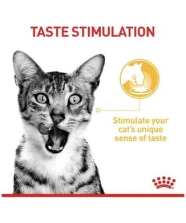 Royal Canin Sensory Taste in Jelly Wet Cat Food 85g (Pack of 48) - Buy Online on GoSupps.com