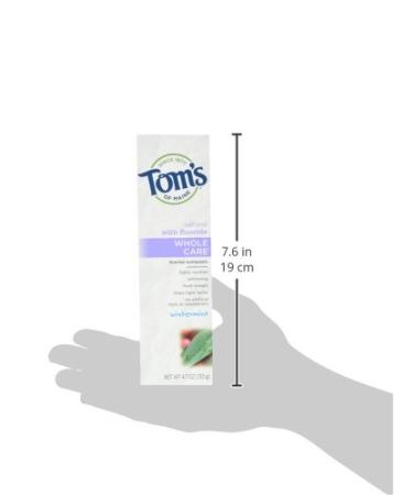 Tom's of Maine Natural Whole Care Fluoride Toothpaste - Wintermint 4.7 oz | Eco-Friendly Oral Care for Bright Smiles Worldwide - Buy Online on GoSupps.com