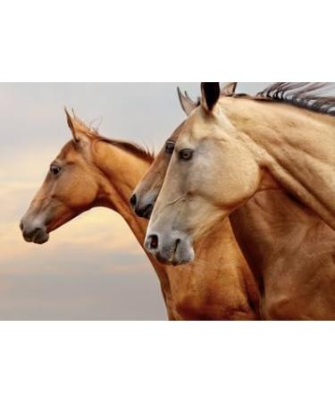 Dr. WEYRAUCH Manganese 1 kg - Buy Online on GoSupps.com