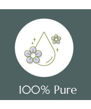 Plant Therapy Christmas Tree Essential Oil Blend 10 mL - 100% Pure & Natural Therapeutic Grade - Buy Online on GoSupps.com