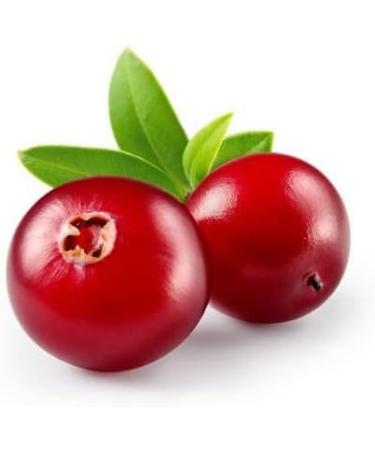 BILBERRY - 30mL - Organic Bud Macerate - Buy Online on GoSupps.com