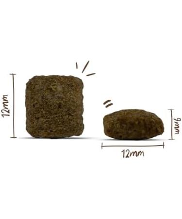 Bosch My Friend+ Dog Senior & Light Dry food for older and overweight dogs 1 x 12 kg - Buy Online on GoSupps.com