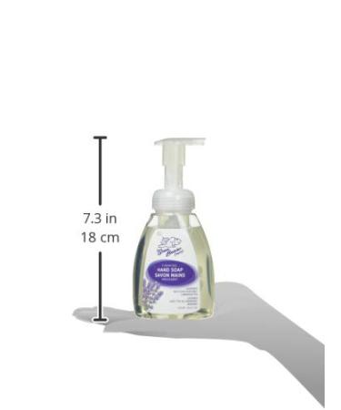 GREEN BEAVER Foaming Hand Wash - Lavender Scent 250 ML | Eco-Friendly & Gentle Cleansing for All Skin Types - International Shipping Available - Buy Online on GoSupps.com