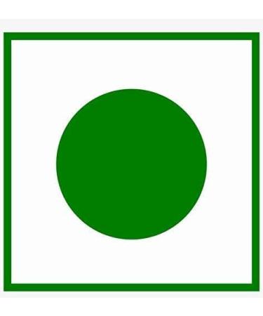 Festival Special Premium (Plain Barfi 250g) Delicious Indian Traditional Sweets To Sweeten Up Your Celebration Best Gift For All Occasions Marriage Diwali Holi Sold By Kidzbuzz - Buy Online on GoSupps.com