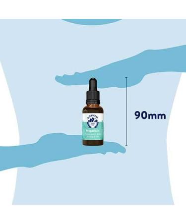 Dorwest Herbs Fragaria 3C Homoeopathic Liquid Remedy for Dogs & Cats - 15ml - Buy Online on GoSupps.com