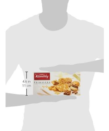 KAMBLY Primavera 175g - Pack of 2 - Buy Online on GoSupps.com