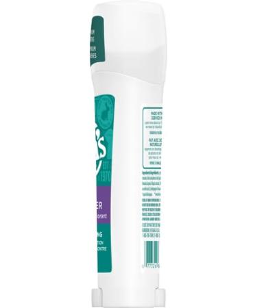 Tom's of Maine Long-Lasting Aluminum-Free Natural Deodorant for Women Wild Lavender 2.25 oz. (Packaging May Vary) Wild Lavander 2.2 Ounce (Pack of 1) - Buy Online on GoSupps.com