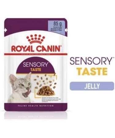 Royal Canin Sensory Taste in Jelly Wet Cat Food 85g (Pack of 48) - Buy Online on GoSupps.com