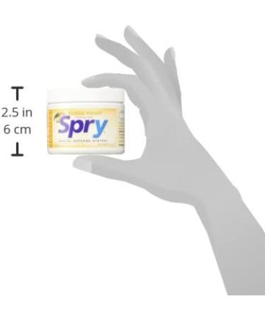 Xlear Spry Sugar Free Chewing Gum - Fresh Fruit Flavor, 100 Count (108g) - Healthy Dental Care - Buy Online on GoSupps.com