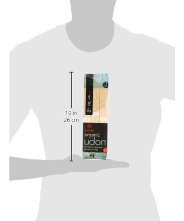 Buy Hakubaku Japanese Organic Udon Noodles - 270g (Pack of 3) | Authentic Japanese Flavor International Shipping Available - Buy Online on GoSupps.com