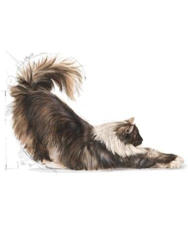 Royal Canin Indoor Long Hair Adult Dry Cat Food 400g - Buy Online on GoSupps.com