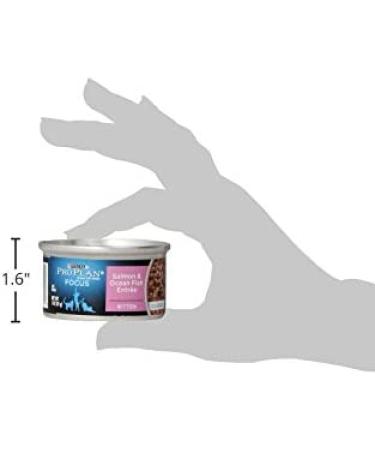 Purina Pro Plan Wet Kitten Food - Flaked Ocean Whitefish and Tuna Entree - 24 Pack of 3 oz. Cans - Buy Online on GoSupps.com