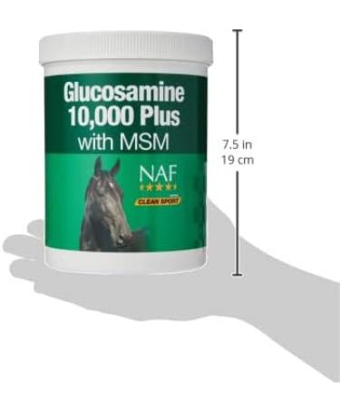NAF Glucosamine 10000 Plus with MSM - Buy Online on GoSupps.com