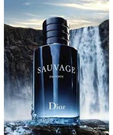 Dior Christian Sauvage Eau Forte Parfum For Men 3.4 Fl Oz - Buy Online on GoSupps.com
