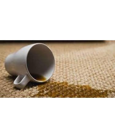 Capture Carpet Total Care Kit 250 - Pet-Friendly Stain Remover & Odor Eliminator for Home Couch, Upholstery, Car Rugs - Non-Toxic Solution - Buy Online on GoSupps.com