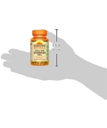 Sundown Naturals Echinacea 400 mg - 100 Whole Herb Capsules for Immune Support - Buy Online on GoSupps.com