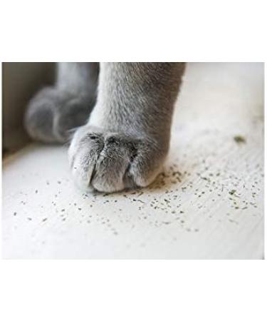 Meowijuana Whisker Tickler Catnip Chamomile & Dandelion Blend - 0.917 oz - Medium - Buy Online on GoSupps.com