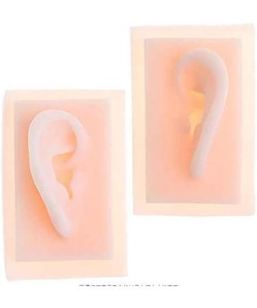 Model of Ear A Model of Silicon Ears Couple Human Model The of The Medical Research Pelle9 7 X 6.3 Centimeters / 3.82 X 2.48Inch - Buy Online on GoSupps.com