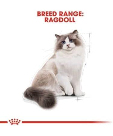 Royal Canin Ragdoll Adult Dry Cat Food 2kg - Buy Online on GoSupps.com