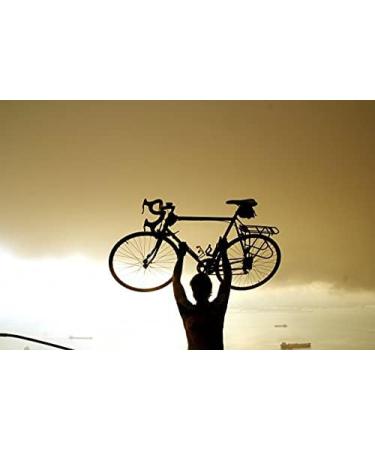 Dorset Flapjacks Variety Pack | 100% British Oats | Vegetarian-Friendly | 24 Bars Box | Cherry Sultana, Chocolate, Fruit, Toffee, Traditional, Yoghurt | Pack of 24 - Buy Online on GoSupps.com