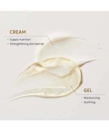 THANKYOU FARMER Rice Pure 2-IN-1 Gel and Cream 2.81 fl.oz - Korean Rice Extract Night Moisturizer for Dry Skin (80ml) - Buy Online on GoSupps.com