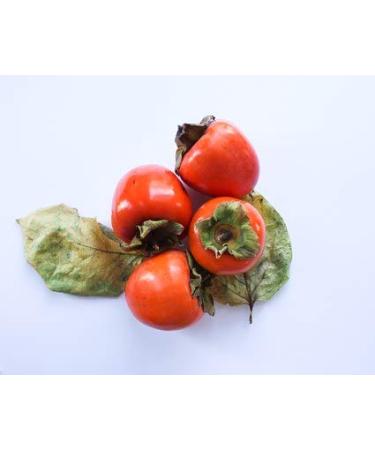 Organic California Hachiya Persimmons - 5 lbs | Fresh & Natural - Buy Online on GoSupps.com