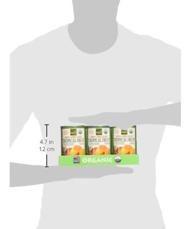 Native Forest Organic Tropical Fruit Salad 14 oz Cans - Pack of 6 | Exotic Blend | Non-GMO - Buy Online on GoSupps.com